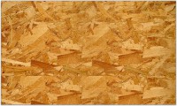 OSB 1220*2440*9 .